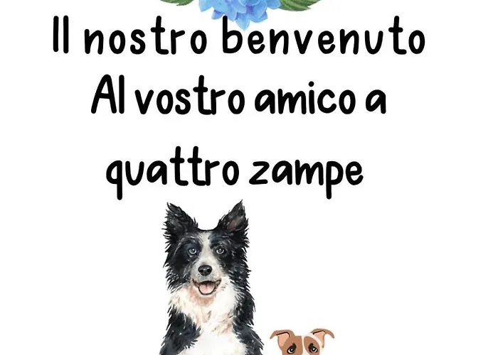 Celeste 베도니아