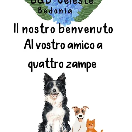 Celeste Bedonia