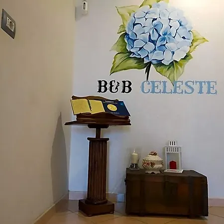 Celeste Bedonia