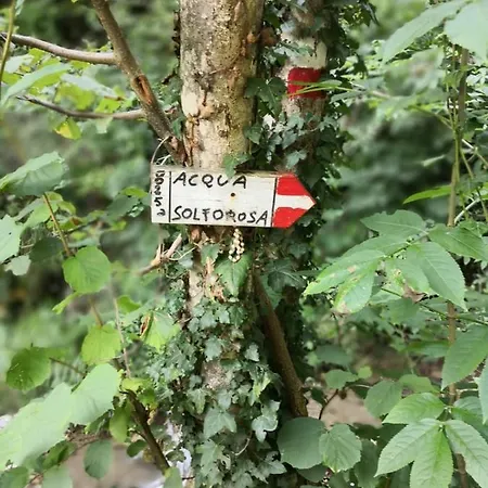 Frühstückspension Celeste *