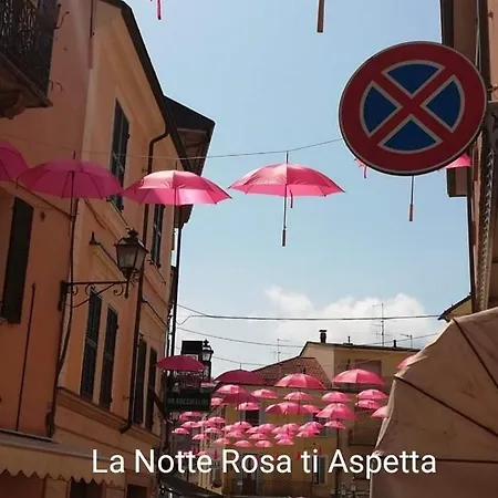 Celeste Couette-café Bedonia