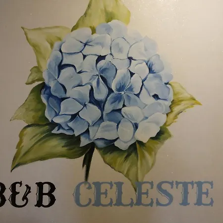 Celeste * Bedonia